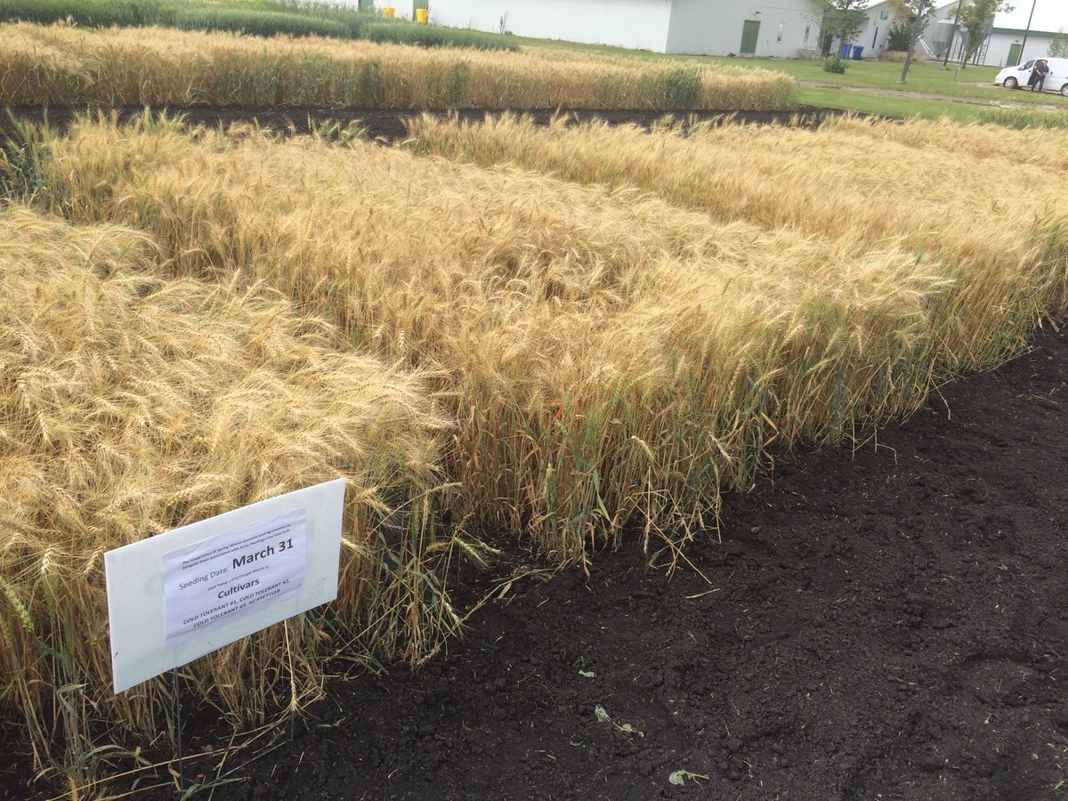 Graham Collier tweet media