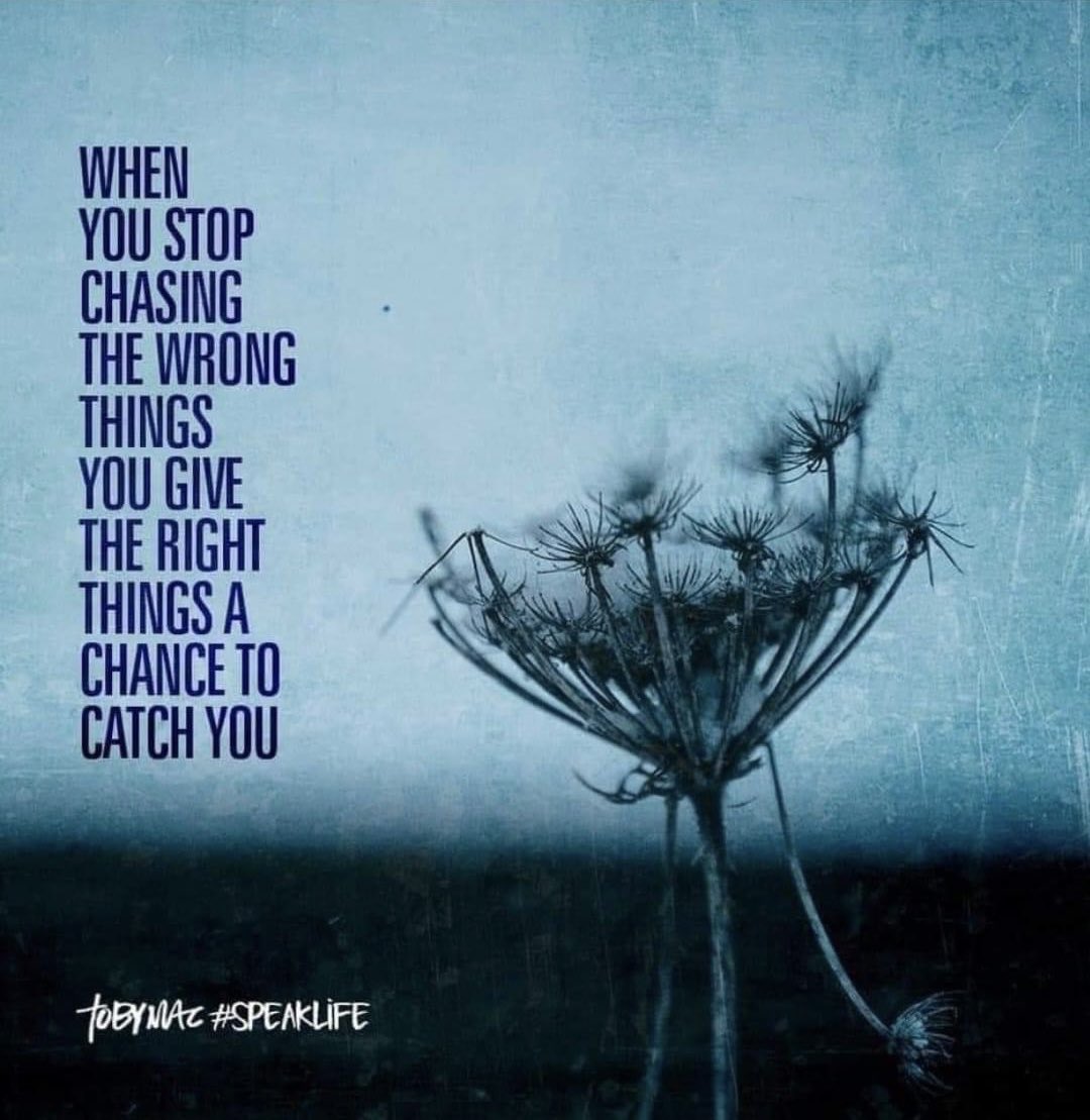 Elia Moreno-Author (@eliaeliamoreno) on Twitter photo 