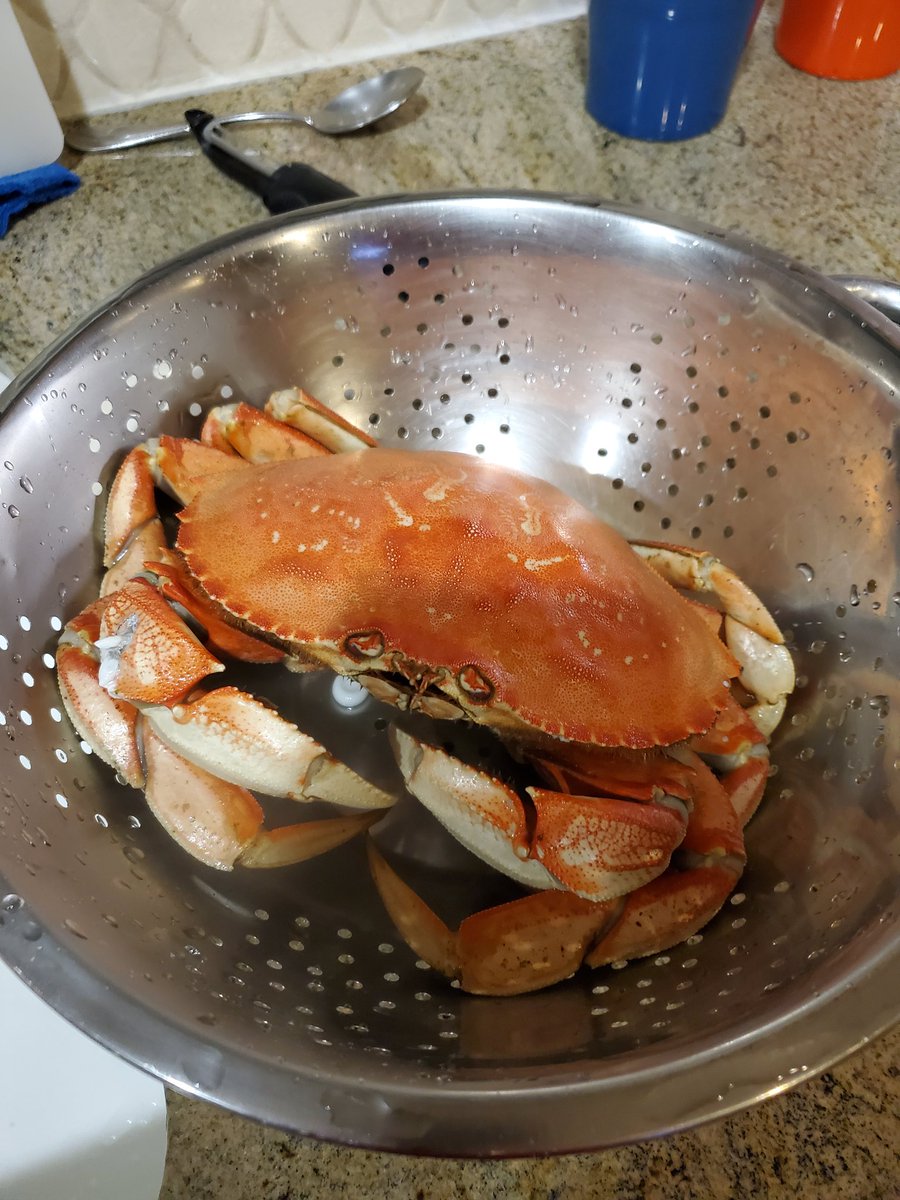brucedhendrix's tweet image. And. Fresh steamed crab. Nothing better! #dinnertime #crab #freshcooking #HealthyEating