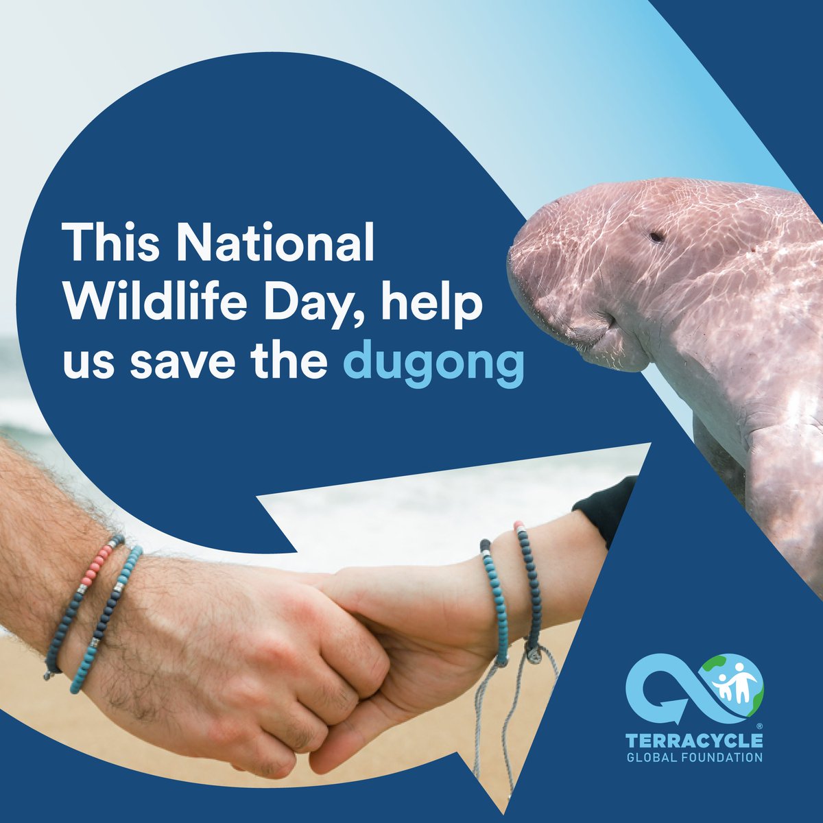 Show you care by wearing Save the Dugong Beaded Bracelet 💙🐬This #wildlifeday, help the #endangeredspecies #dugong, a majestic relative of the manatee. Each bracelet purchased #funds the removal of 20 lbs of waste from waterways. Shop: b.link/WWday #oceancleanup