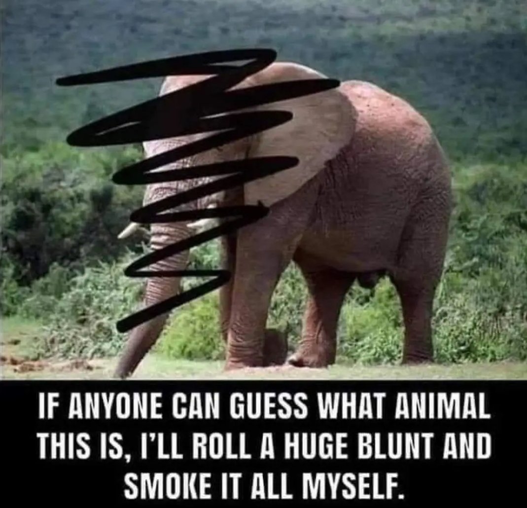 The High Conservative 🇺🇲 tweet media