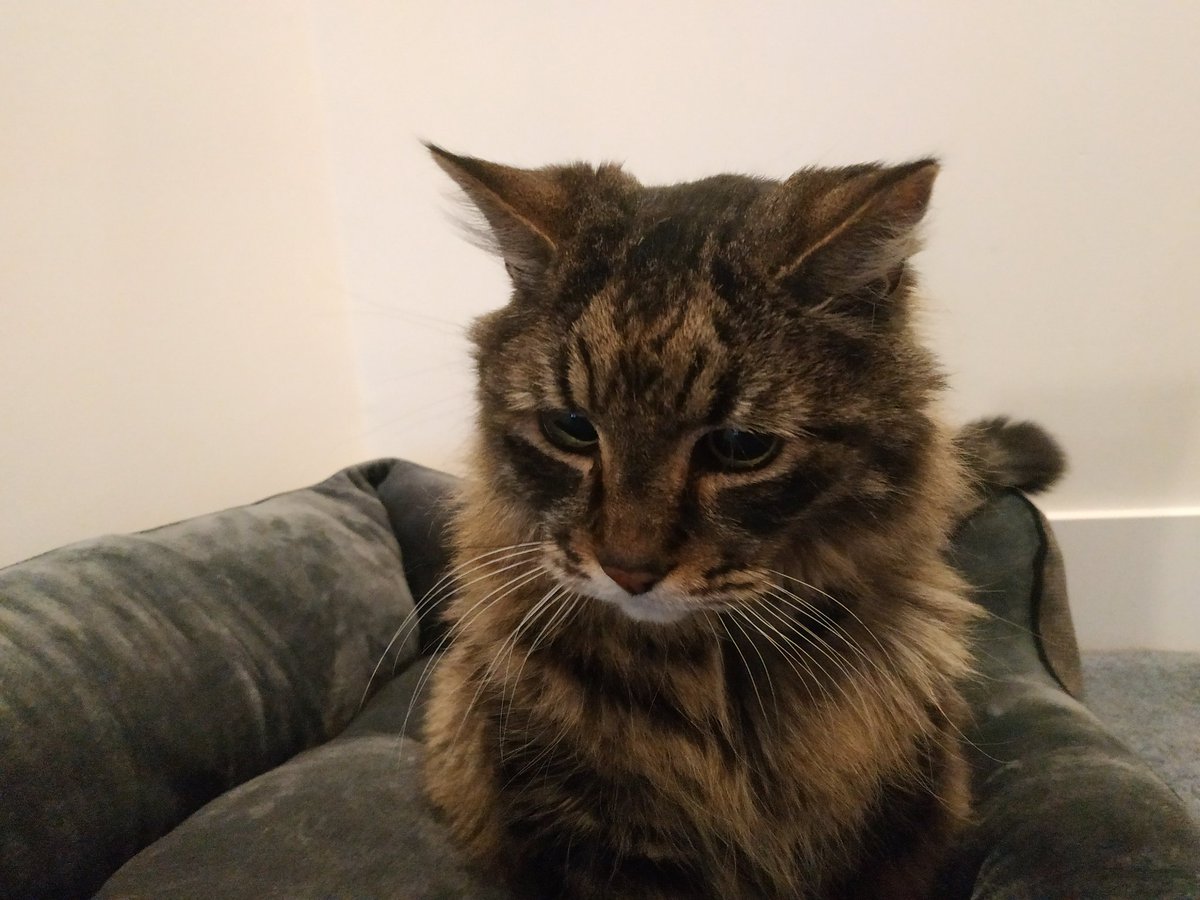 SilentButDeqdly's tweet image. 2005-2023 ♥️