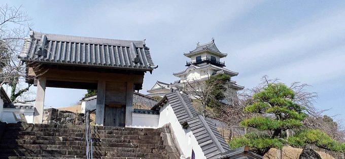 旦那と掛川桜のお花見いってきた。まだ7分咲きくらいかなー 