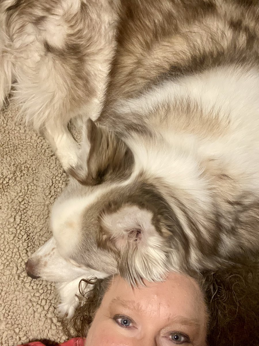 gymnast4life tweet media