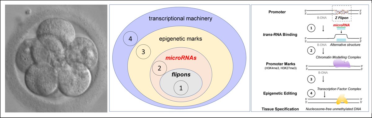 insideoutbio tweet media