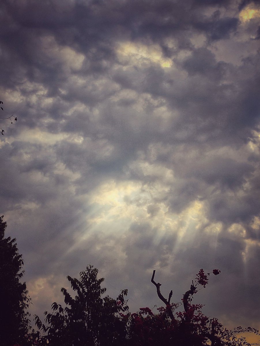 artizzzz's tweet photo. Forever chasing light
Forever seeking the silver lining
#CloudyMornings https://t.co/XBjTAjHLHA