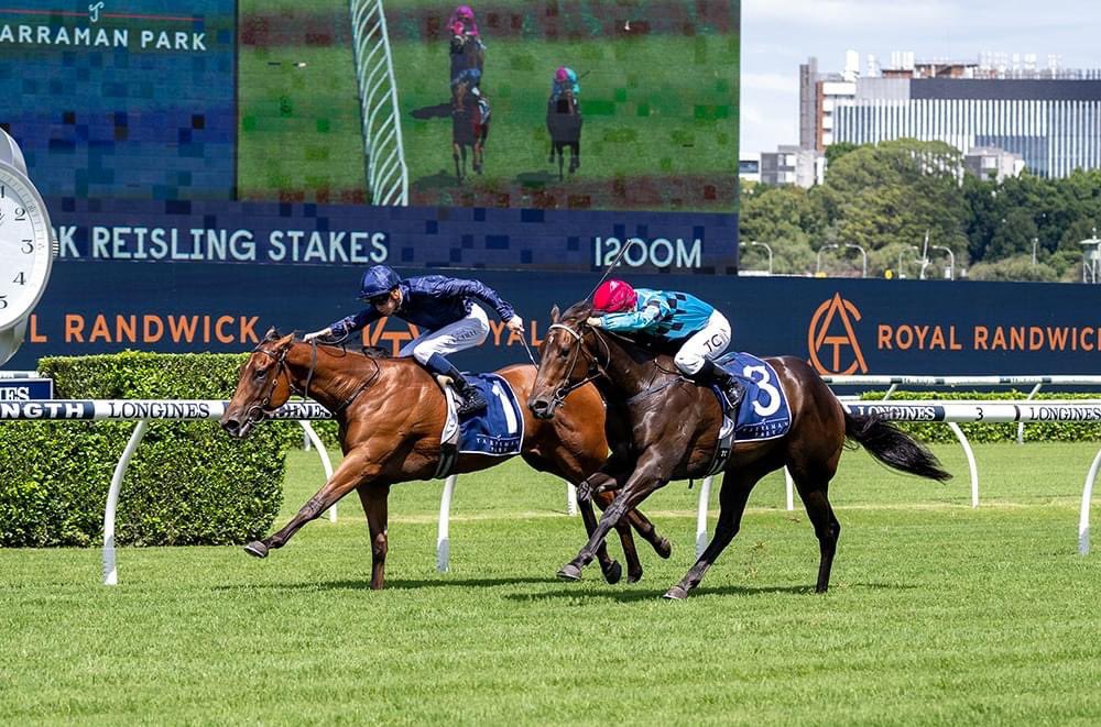 Annabel and Rob Archibald Racing tweet media
