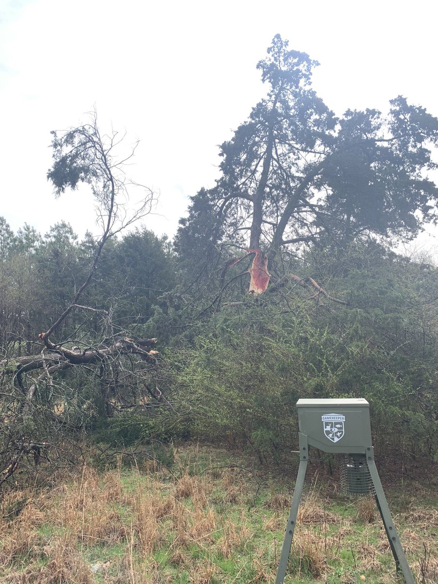 kileyyaustin3's tweet photo. @NWSLittleRock https://t.co/mpFN7YJe3d