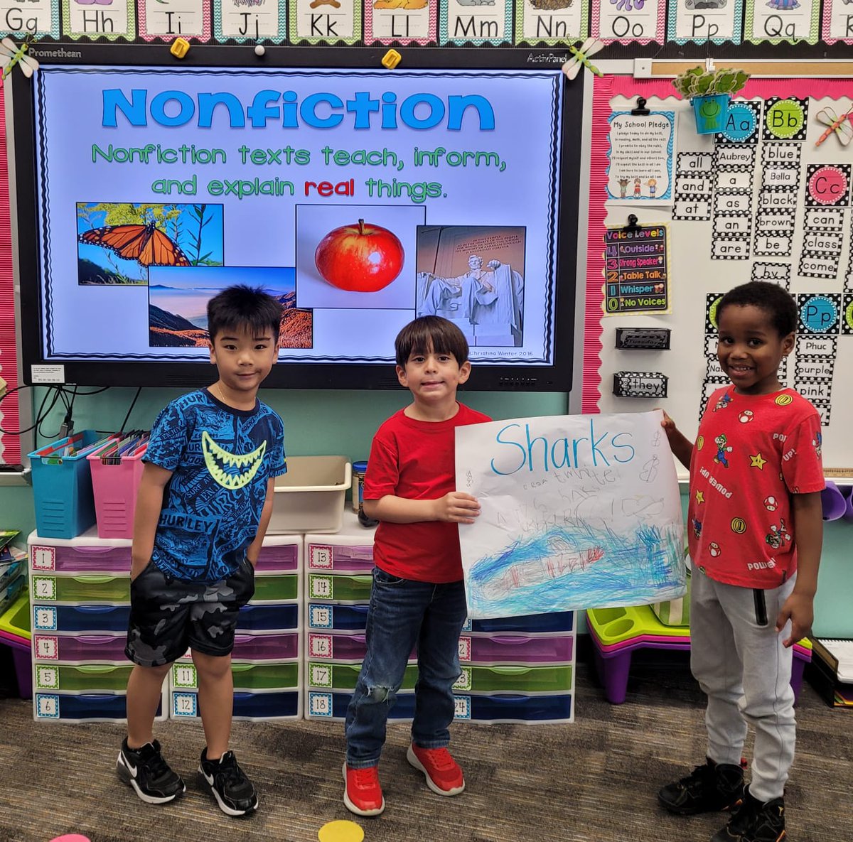 WoodardCFISD's tweet photo. The #ALLINWolfpack 3rd graders have inspired Kinder to read/write/present about non-fiction research projects @MFinalFour #MFinalFour #ReadToTheFinalFour with @CyFairISD #CFISDSPIRIT @suebrenz @jesmcallister @KGrahmann @MrsNgo04 @Woodard_Counsel @ReubertaBitz @MrsClevenger1 @KHOU https://t.co/0OCYFifusY