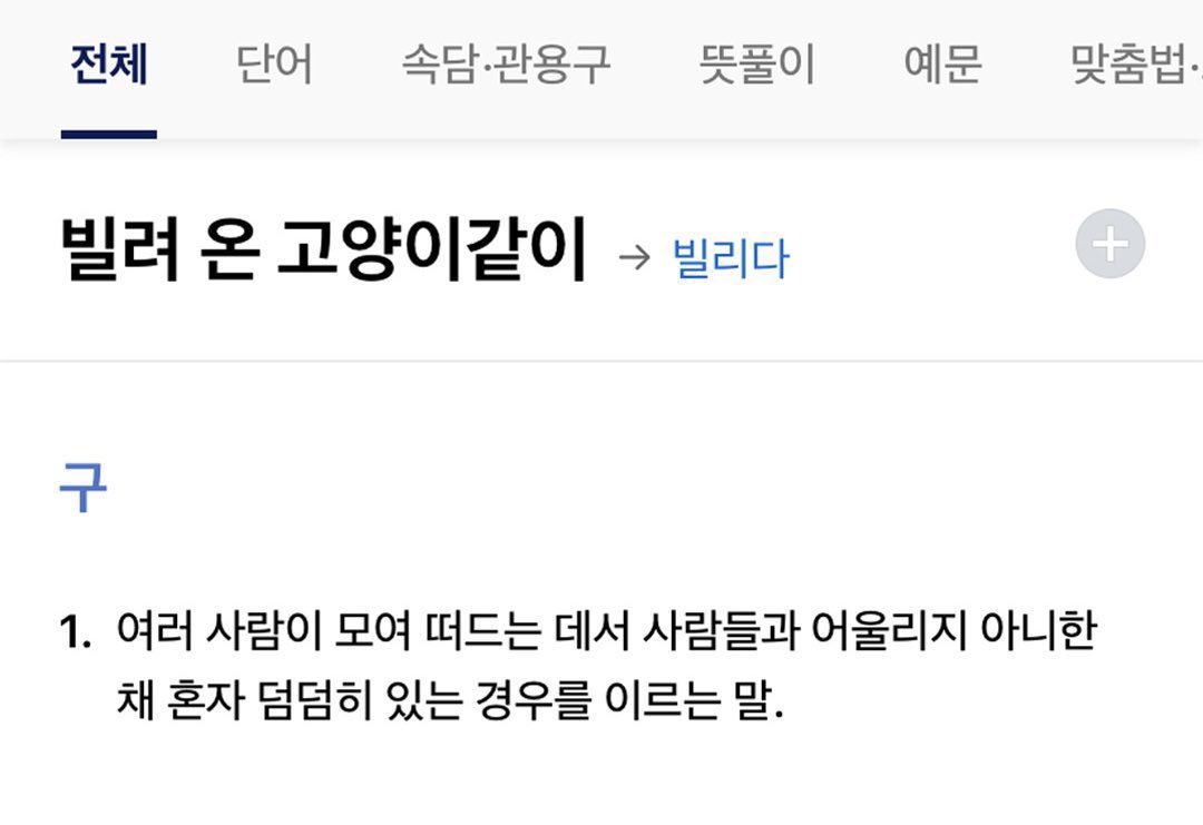 빌려 온 고양이같이