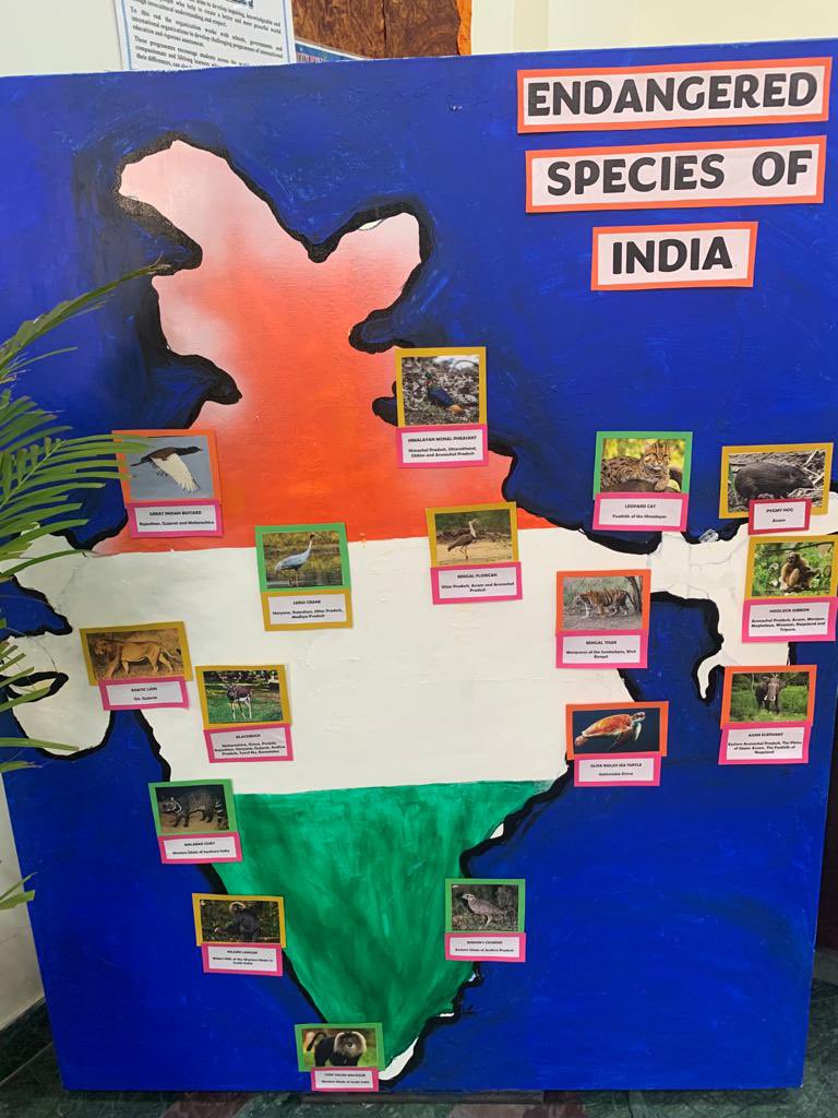 animanaktala's tweet photo. World Wildlife Day at school - We all need to take more action to raise awareness and protect our endangered species @byadavbjp @MathewBhavna @pws_gurgaon https://t.co/tdSWqpaDmJ