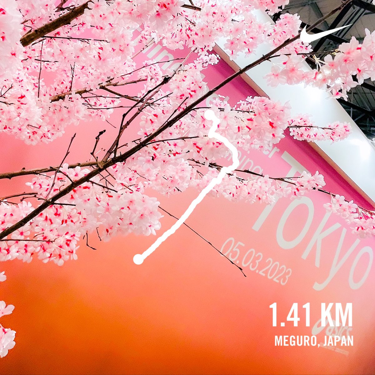 🍎
#run #nikeplus #flowers #花 #風景 #ジョギング #ランニング #ランニング女子 #東京マラソン #tokyomarathon #tokyomarathon2023 #asics #asicsrunning #soundmindsoundbody #ランナー #マラソン #フルマラソン #アシックス