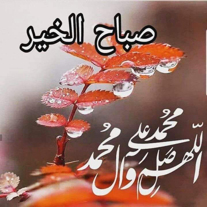 غٌأّلَبِ🇮🇶ⓐⓛⓡⓔⓚⓐⓑⓘ🇮🇶 tweet media