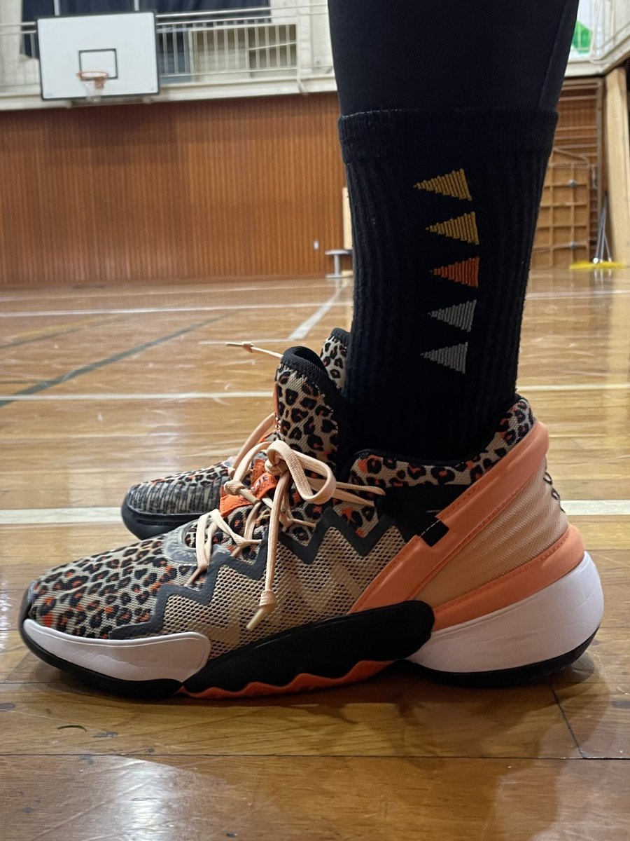 4s_daily's tweet image. おひさしぶりーふ！
#donissue2