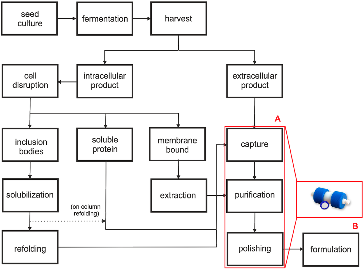 The Centre for #chemical #process #safety (CCPS) defines a #bioprocess as a process that makes use of microorganisms, #Cell #culture enzymes to manufacture a product or to complete a chemical #transformation 
Submission: pharmabioprocessing@journalres.org;
bit.ly/3JasN1K