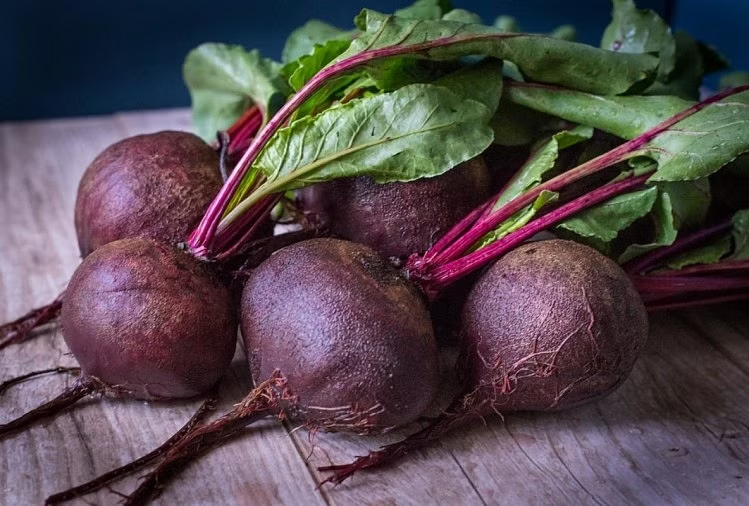 DesiClub01's tweet photo. There are many benefits of eating beetroot in summer, there is less risk of heart-related diseases, visit here for more info- https://t.co/k0xo26yPeb
#AnushkaSharma #CCL2023 #breakinglaws #FatherDaugtherTalk #AlluArjun #WaltairVeerayya #GiveGirlsWings #Health #healthcare https://t.co/J518etroJr