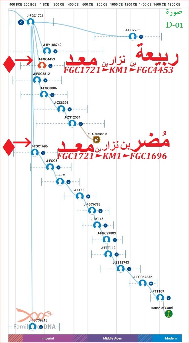 ♦التحور J-FGC4453 هو ♦ربيعة بن نزار بن معد ..بن عدنان♦ ويجتمع مع شقيقه ♦مضر بن نزار بن معد .. بن عدنان ♦ في تحور T2T ثم يجتمع التحور السلف مع اشقاءه تحت J-FGC1721 , النصوص تطابق نتائج تحليل الجينات , 
رابط الدخول لمعرفة بيانات التحور والفروع والاعمار.
discover.familytreedna.com/y-dna/J-FGC445…