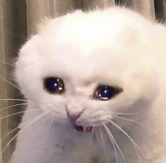 MSJ_17's tweet photo. @AkiBoss_ Esa escena acabó con mi estabilidad emocional 🥹 https://t.co/Q2l2ymVh1j