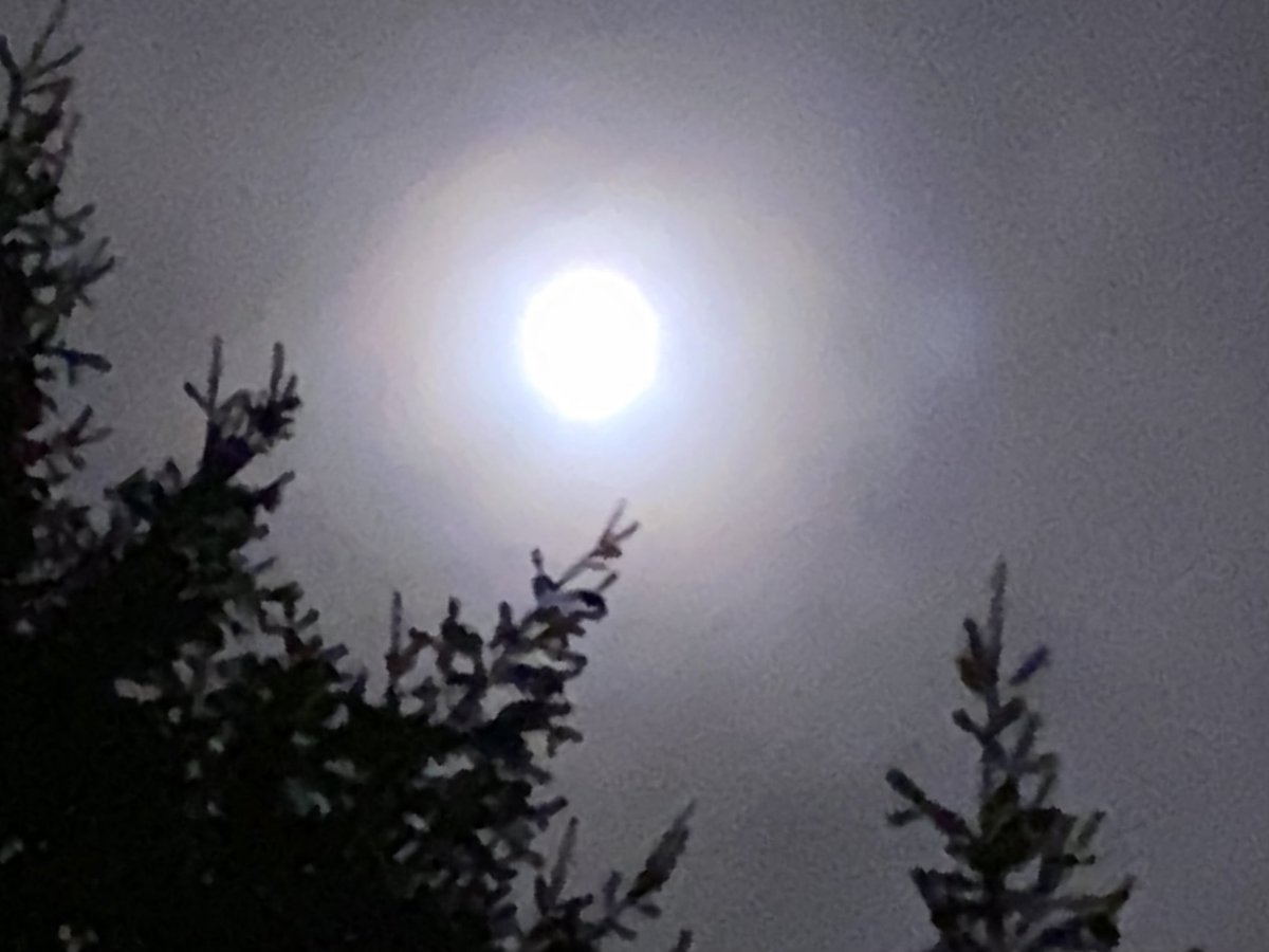 candyk_2011's tweet photo. A pretty near full moon last night https://t.co/jenzg8zMnP