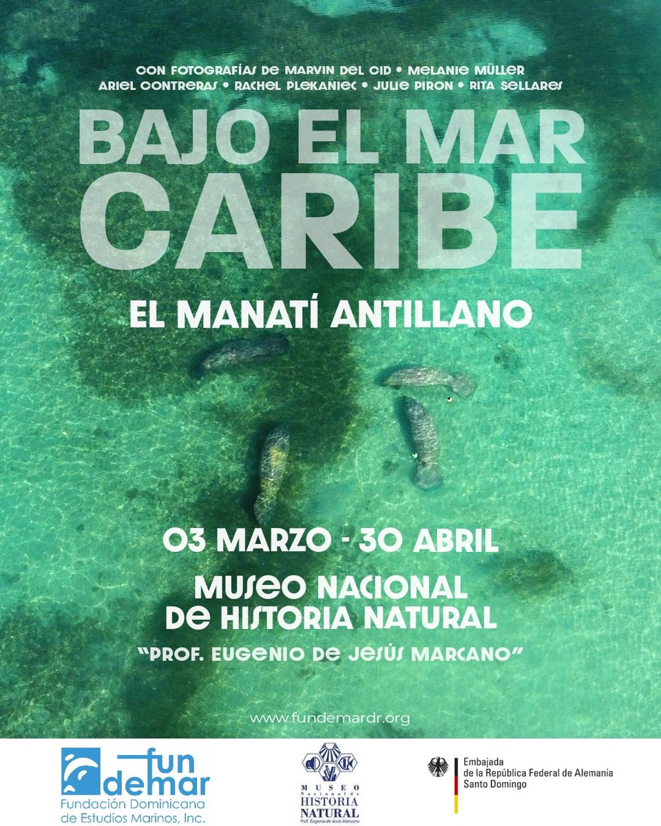 GermanAmbDR's tweet photo. Gracias @MuseoNaturalRD por abrirnos este espacio y a @Fundemardr y @ambienterd por el apoyo con este proyecto! Ahora juntamos fuerza para proteger los manatíes silvestres y sus hábitats, los manglares y las praderas marinas, así proteger las costas, contra #cambioclimático🇩🇪🤝🇩🇴 https://t.co/JkDVJxEVDq