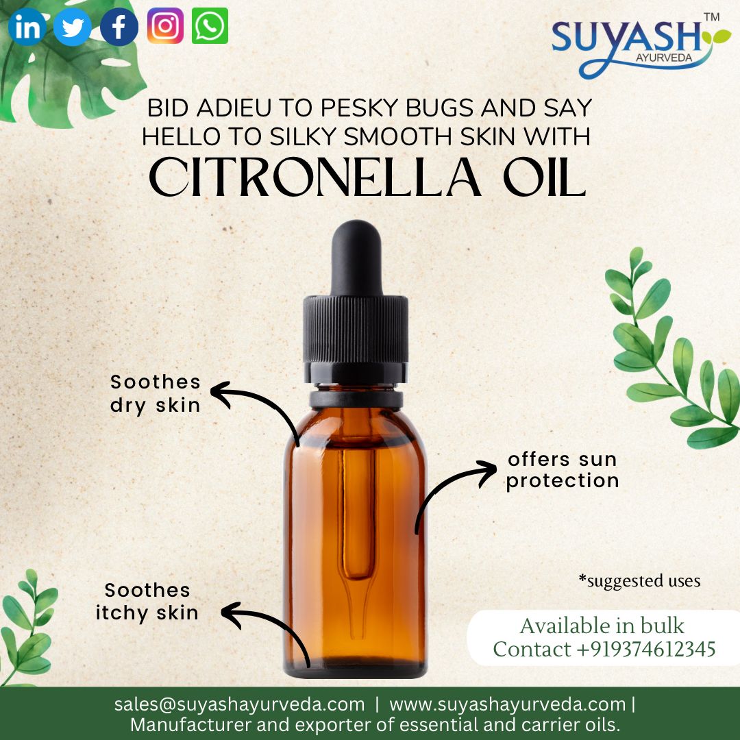 Wave goodbye to pesky bugs and welcome silky smooth skin with the natural power of citronella oil 🌿👋

#SuyashAyurveda #naturalessentialoils #essentialoiltherapy #aromatherapyoils #aromatherapy #naturalremedies #wellness #holistichealth #selfcare #healthylifestyle #bugrepellent