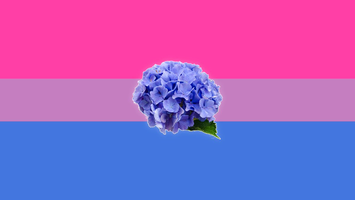 max/vif ¹⁸⁷ on Twitter "RT shelbygraced i was a little jealous of