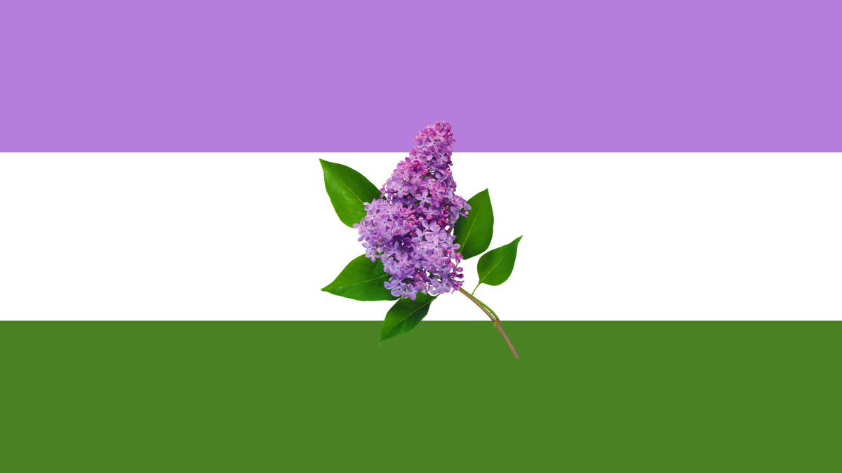 max/vif ¹⁸⁷ on Twitter "RT shelbygraced i was a little jealous of