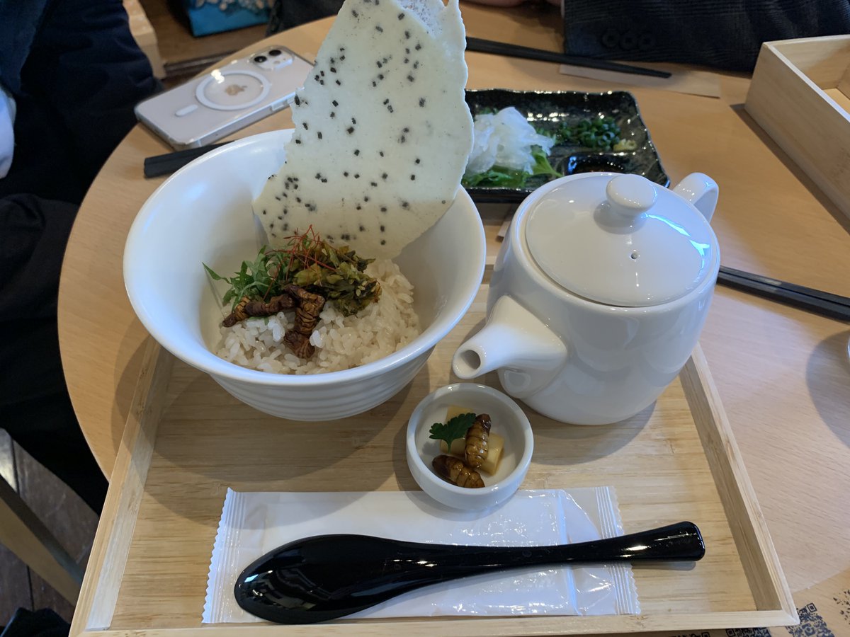 友達と昆虫食のTAKE-NOKO行ってきました
友達は料理が上手いのでいろいろ風味の違いとか感じ取ってて面白かった https://t.co/76VWsZRGj5