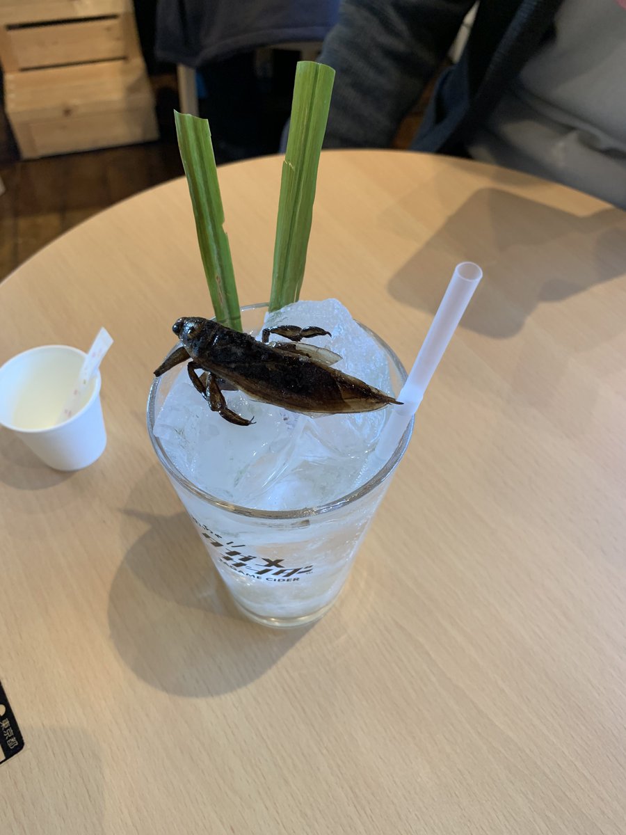 友達と昆虫食のTAKE-NOKO行ってきました
友達は料理が上手いのでいろいろ風味の違いとか感じ取ってて面白かった https://t.co/76VWsZRGj5