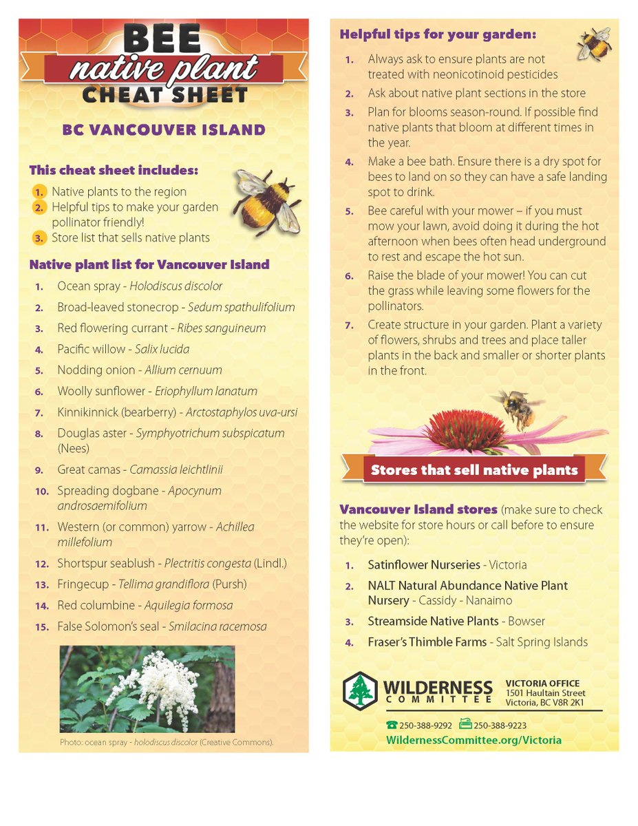 Today's World Wildlife Day. The theme for 2023 is recovering key species for ecosystem restoration. We can start right in our backyards by planting bee, butterfly &amp; bird friendly native plants (once the snow goes). Thx for the cheat sheet <a href="/wildernews/">Wilderness Committee</a>!