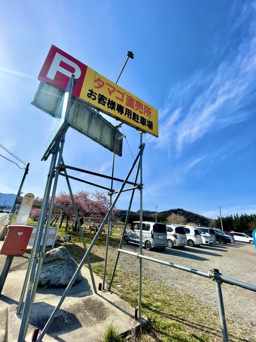 卵買いに来たら咲いてました 