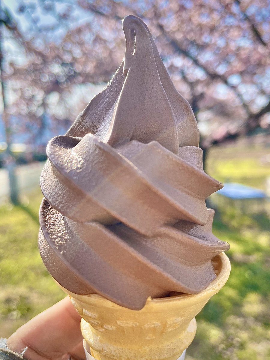 卵買いに来たら咲いてました 