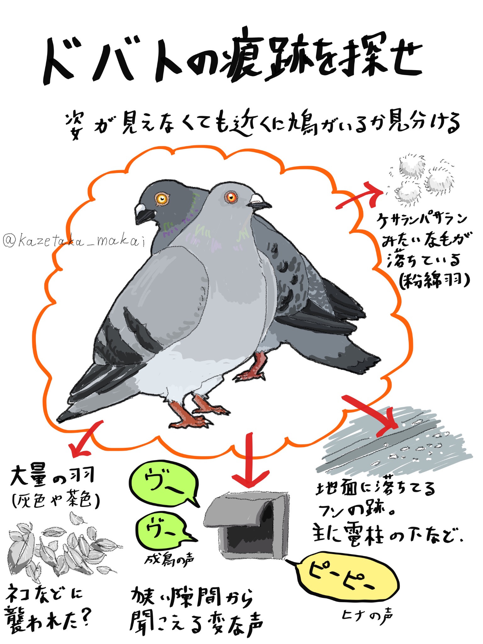 風鷹(かぜたか) on X: 