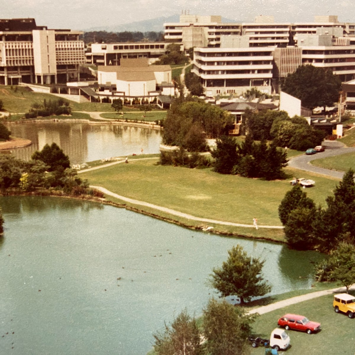 waikato's tweet photo. Do you remember our campus looking like this? π€
#KoTeTangata #ForThePeople
#WUThrowback #NewZealand https://t.co/HfrMvmSEfn