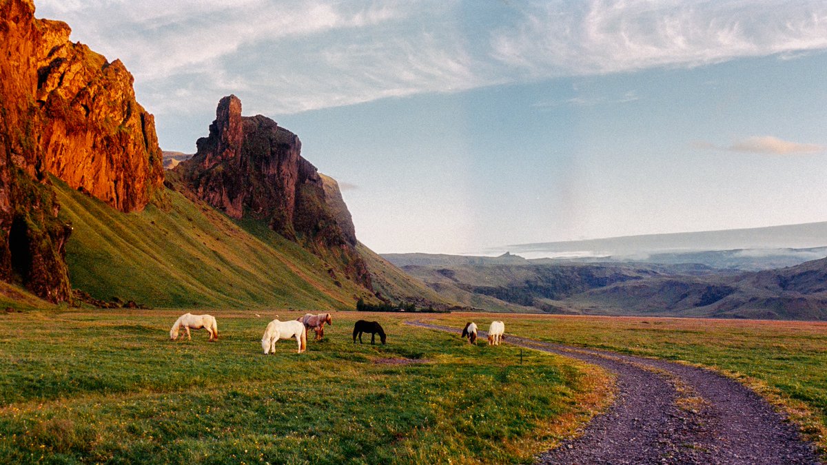 iceland on 35mm