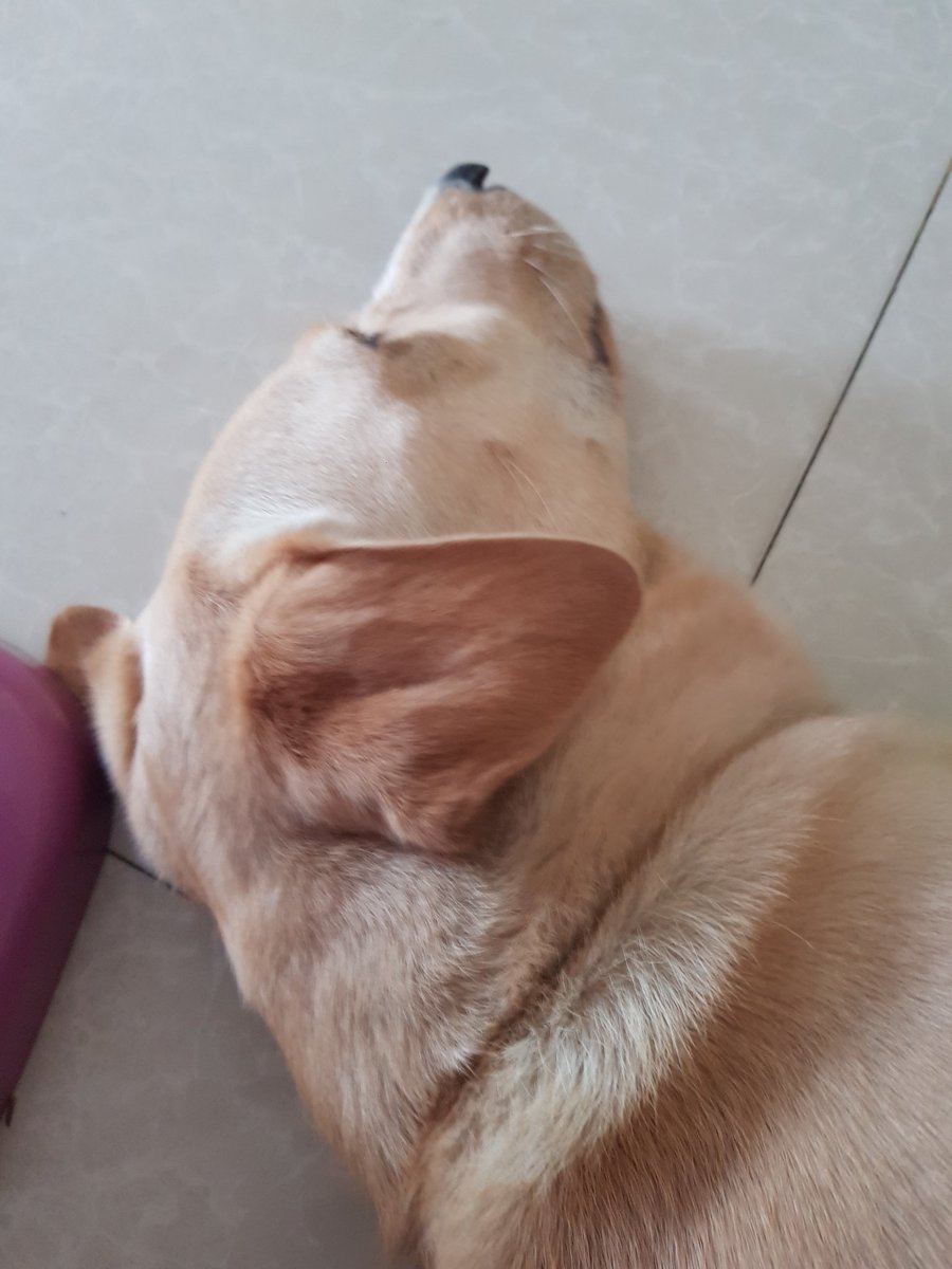 fainaka2022's tweet photo. เหงาแปลกๆๆตอนนี้5555 #คลองหก https://t.co/lm1YYZ39Ii