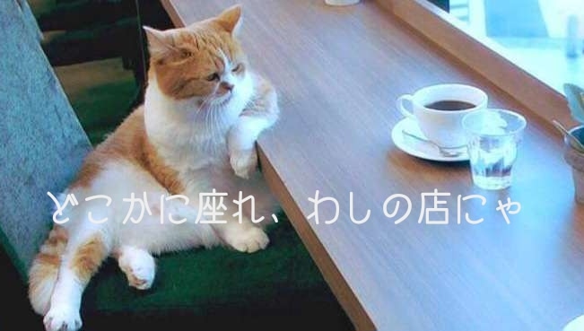 deliciousanko's tweet photo. #ネコカフェ
#俺の店
#その辺に座れ
#猫
#猫がえりたい https://t.co/oGD1zTFLR4