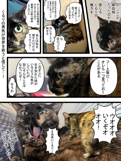#自分の作った中で1番のクソコラを何でもいいから載せろ
人さまの猫さまで遊んでる(ΦωΦ) 