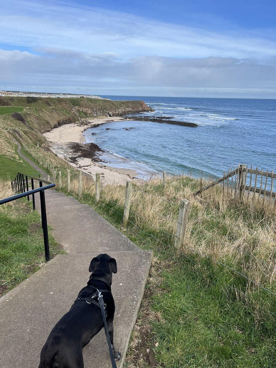 Beautiful Berwick #berwickupontweed #Northumberland