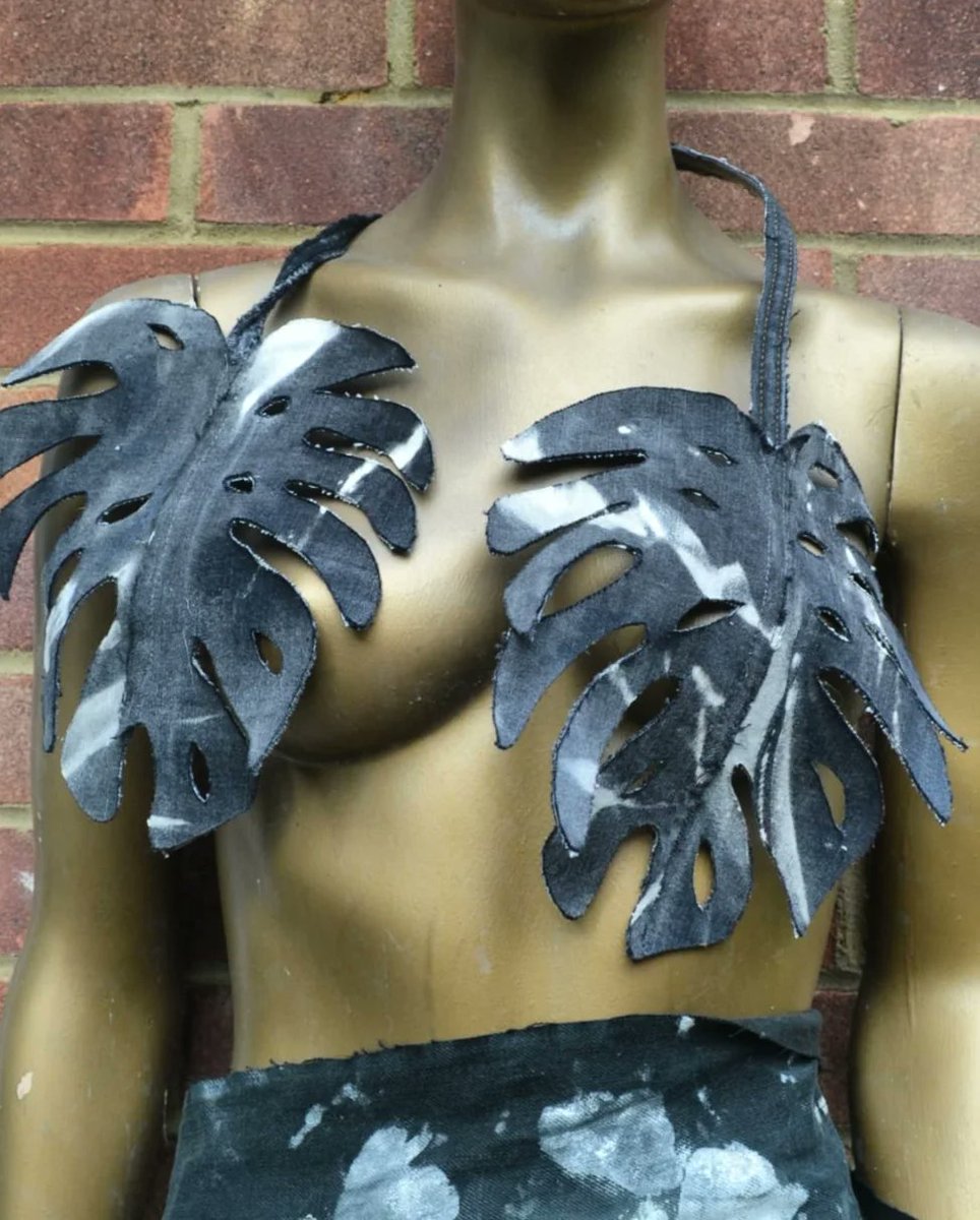 Dolly Fixtures tweet media