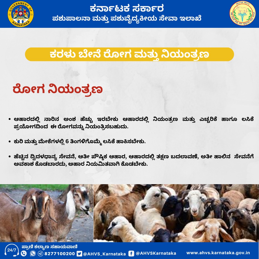 Dept of Animal Husbandry and Veterinary services (@AHVS_Karnataka) / Twitter Dept of Animal Husbandry and Veterinary services (@AHVS_Karnataka) / Twitter