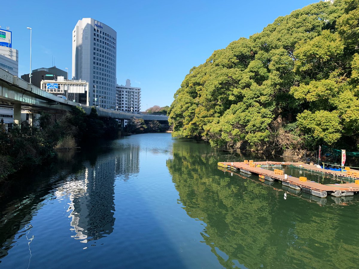 I went to a clinic for the annual medical checkup this morning. 

Last year the boat house was closed because of the Covid19.
This year it looked lively😊

Akasakamitsuke, Tokyo
3/4/2023