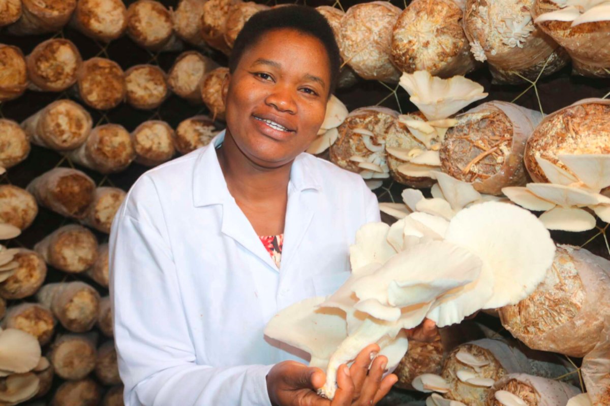 Africa Updates on Twitter "RT NationAfrica How a family tragedy gave