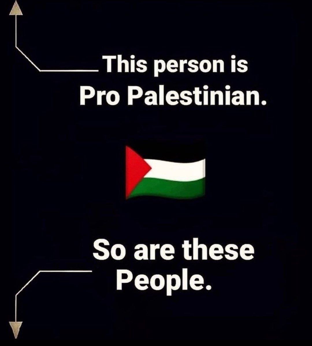 SaraReyi's tweet photo. If you support Palestine, comment " FreePalestine" https://t.co/wXFHaaAzQK