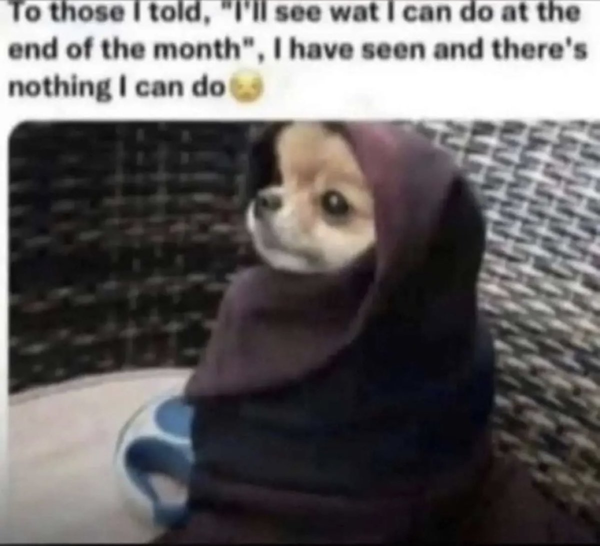 Me: Oh Surfline said they’re close to resolving their issue we should be connected soon.

<a href="/SurflineGH/">Surfline</a>: