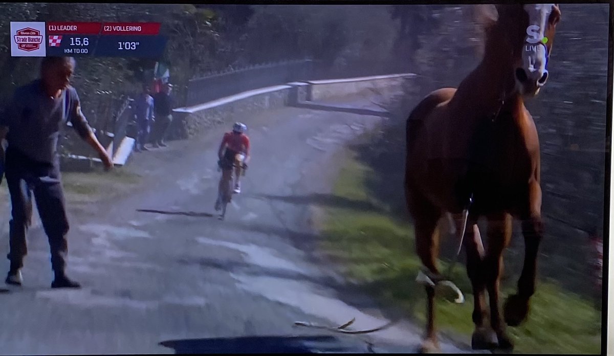 Bizar !  #stradebianchedonne