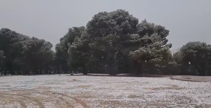 TapNewsAgency's tweet photo. #Tunisia: small amounts of snow fell on the heights of #SakietSidiYoussef & #Touiref, #ElKef governorate, on Saturday, as the regions saw a sharp drop in temperature. #TAP_En https://t.co/iGmTwyj4Qe