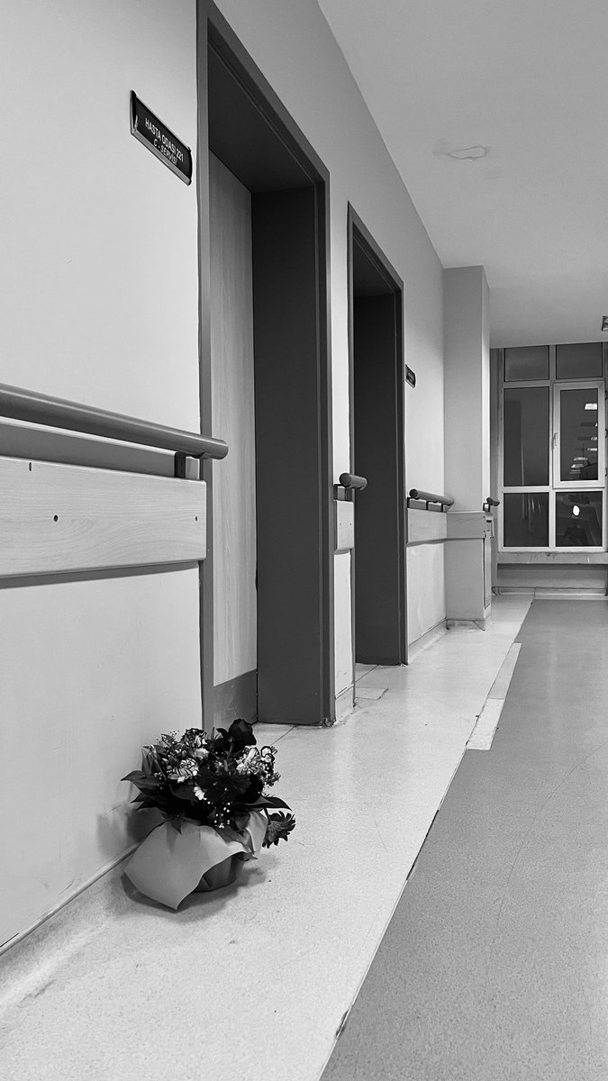 Suçiçeği mi? (@aysegul__oguz) on Twitter photo 