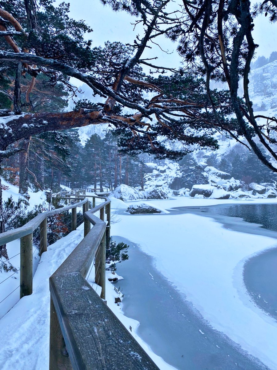 ¡La joya del entorno!
Laguna Negra es un lugar para tripitir. La energía que tiene este lugar y la conexión que se siente con la naturaleza es una experiencia única.
📸 AngelaDeLaOrden
<a href="/CyLesVida/">Turismo Castilla y León</a>
<a href="/spain/">Spain</a> <a href="/Soriaestademoda/">Soria está de moda</a> <a href="/sorianitelaimag/">¡Soria ni te la imaginas!</a> <a href="/OfiTurismoSoria/">Turismo Soria CyL</a> <a href="/AytoVinuesa/">Ayuntamiento de Vinuesa</a>