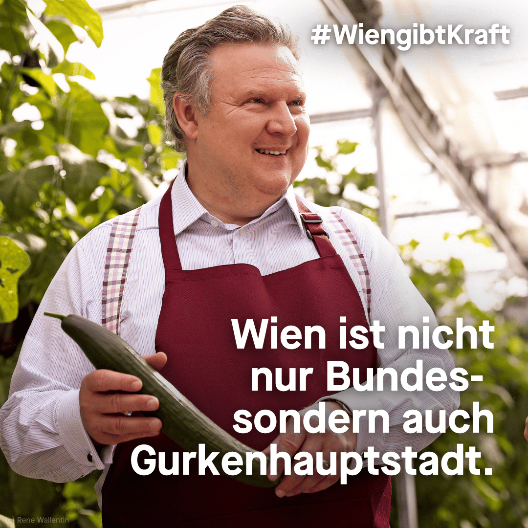 SP_Wien's tweet photo. 🥒 Wir sind auf unsere Wiener Bäuer*innen sehr stolz. Sie produzieren 260 Prozent des Gurkenbedarfs und exportieren deshalb mehr Gurken als in Wien gegessen werden. Insgesamt gibt es 40 verschiedene Gemüsearten in Wien. Das ist einzigartig für eine Millionenstadt. @bgmludwig https://t.co/6Iaqkx4eXs